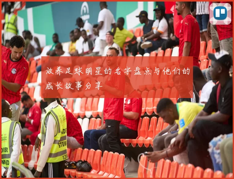 放养足球明星的名字盘点与他们的成长故事分享