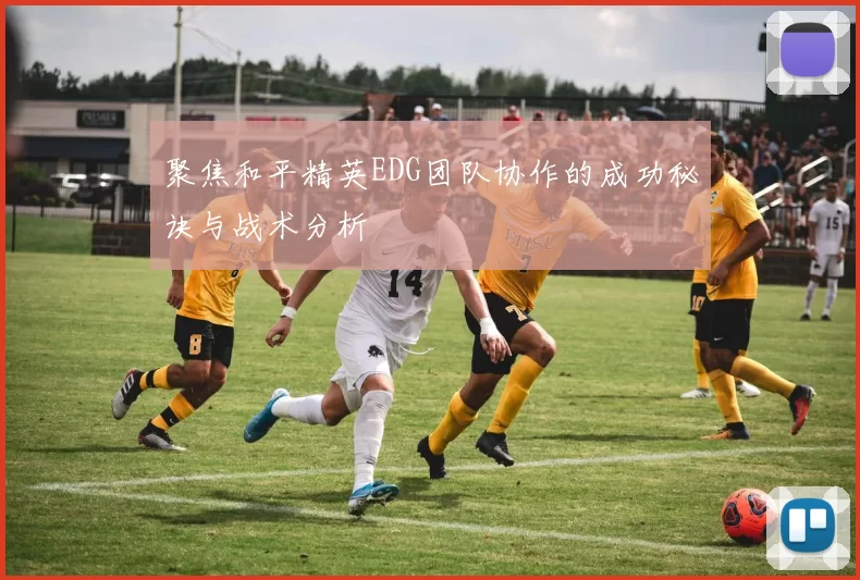 聚焦和平精英EDG团队协作的成功秘诀与战术分析