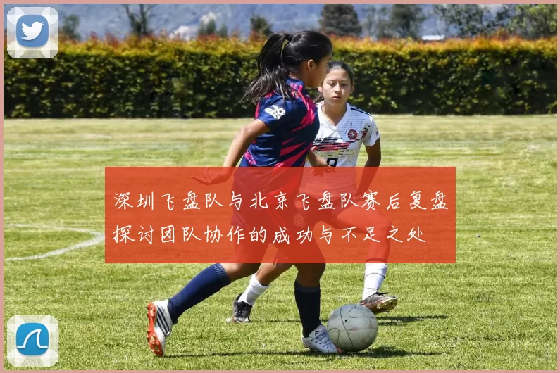 深圳飞盘队与北京飞盘队赛后复盘探讨团队协作的成功与不足之处