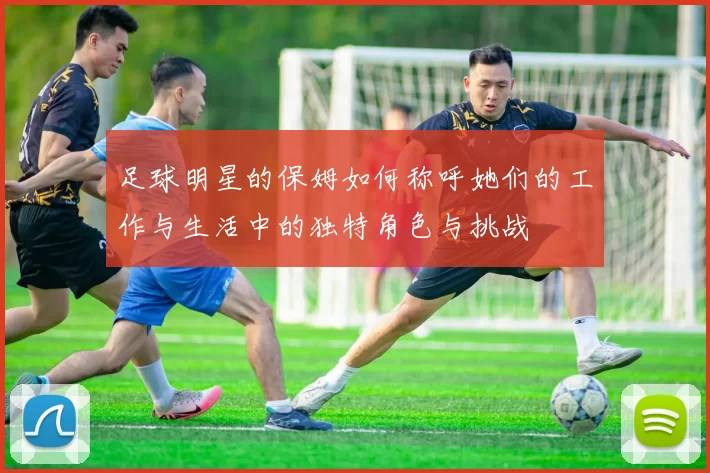 足球明星的保姆如何称呼她们的工作与生活中的独特角色与挑战