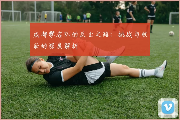 成都攀岩队的反击之路：挑战与收获的深度解析