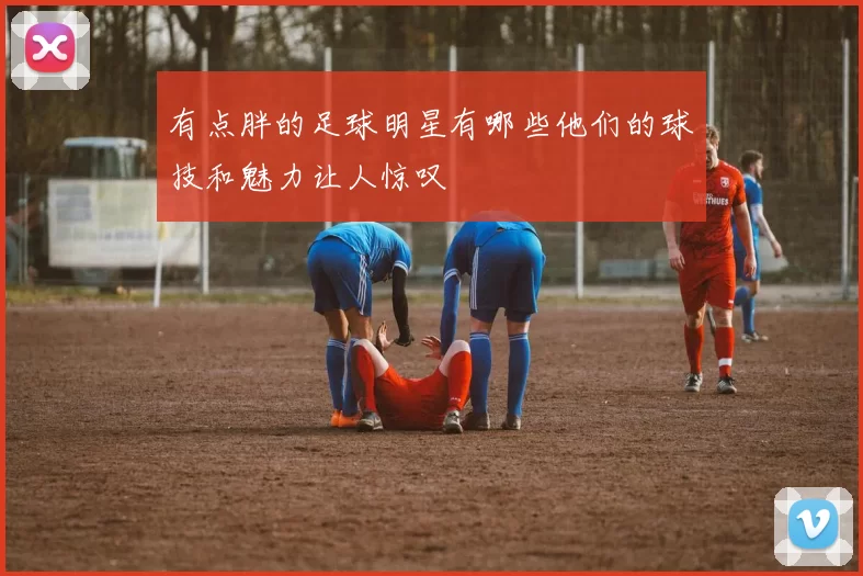 有点胖的足球明星有哪些他们的球技和魅力让人惊叹