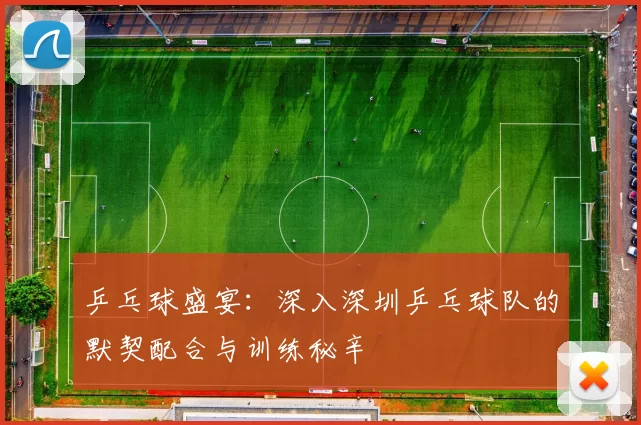 乒乓球盛宴：深入深圳乒乓球队的默契配合与训练秘辛