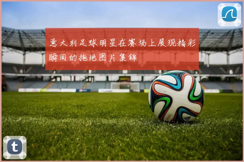意大利足球明星在赛场上展现精彩瞬间的拖地图片集锦