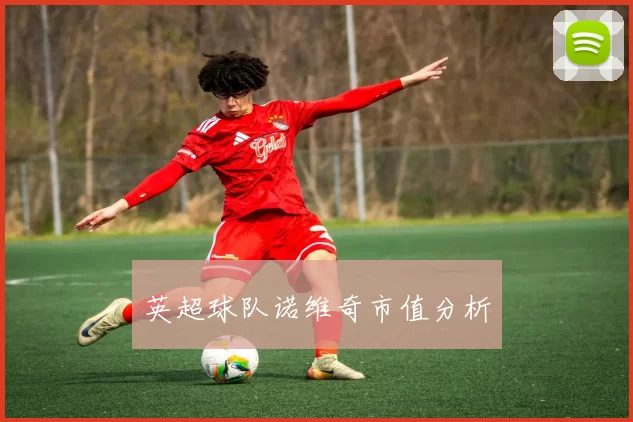 英超球队诺维奇市值分析