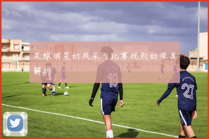 足球明星的风采与比赛规则的深度解析