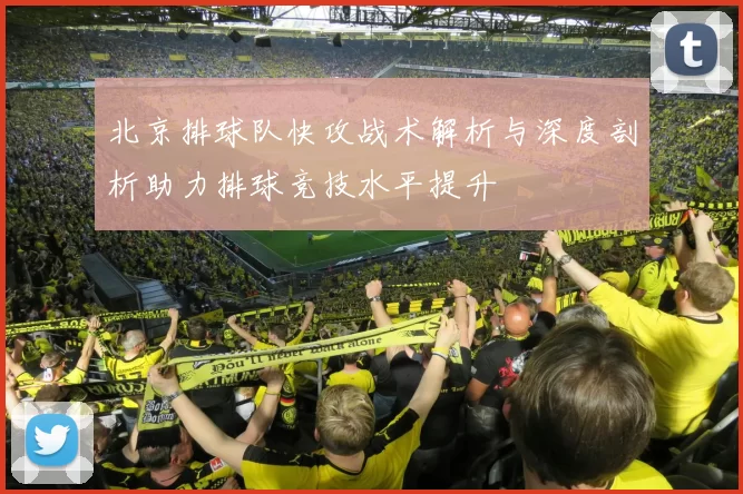 北京排球队快攻战术解析与深度剖析助力排球竞技水平提升
