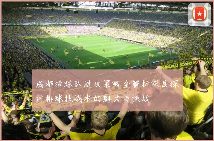 成都排球队进攻策略全解析深度探讨排球技战术的魅力与挑战