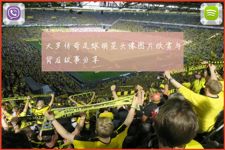 大罗传奇足球明星头像图片欣赏与背后故事分享
