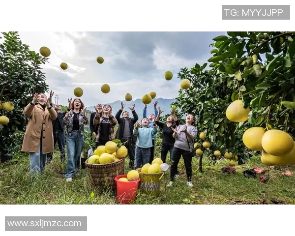 果园乐园:采摘乐趣无穷 果园乐园:采摘乐趣无穷