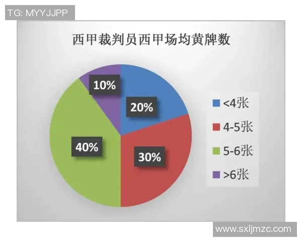 西甲2019赛季完整赛程回顾与年度总结
